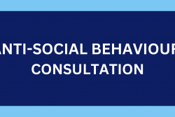 Graphic-anti social behaviour consultation